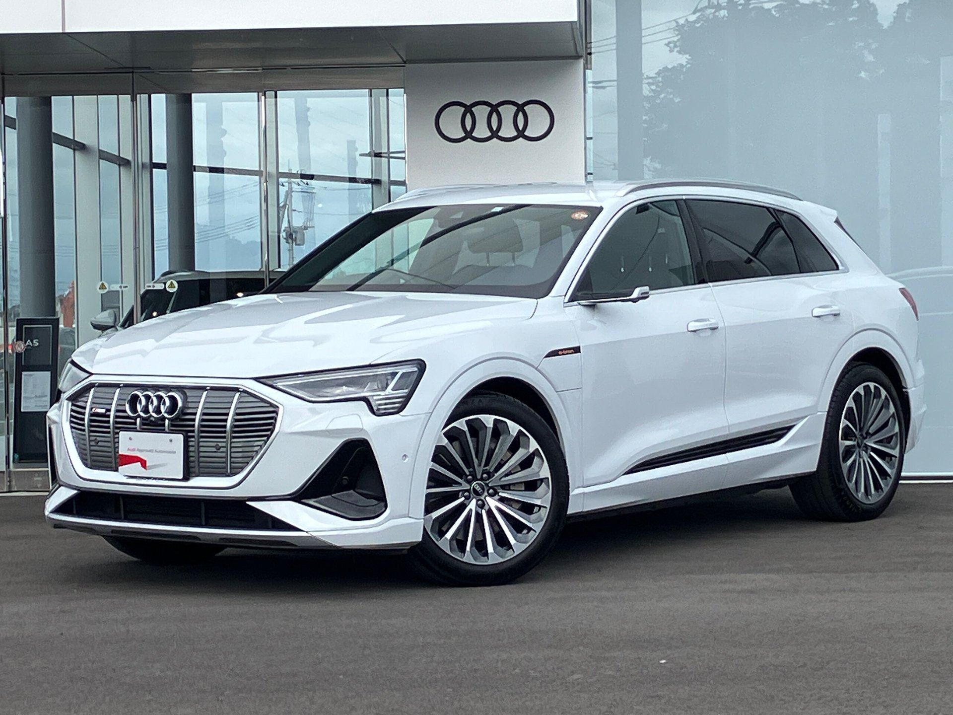 AUDI E-TRON - View 1