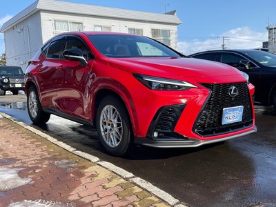 LEXUS NX - 3