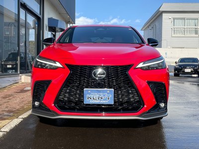 LEXUS NX - 2
