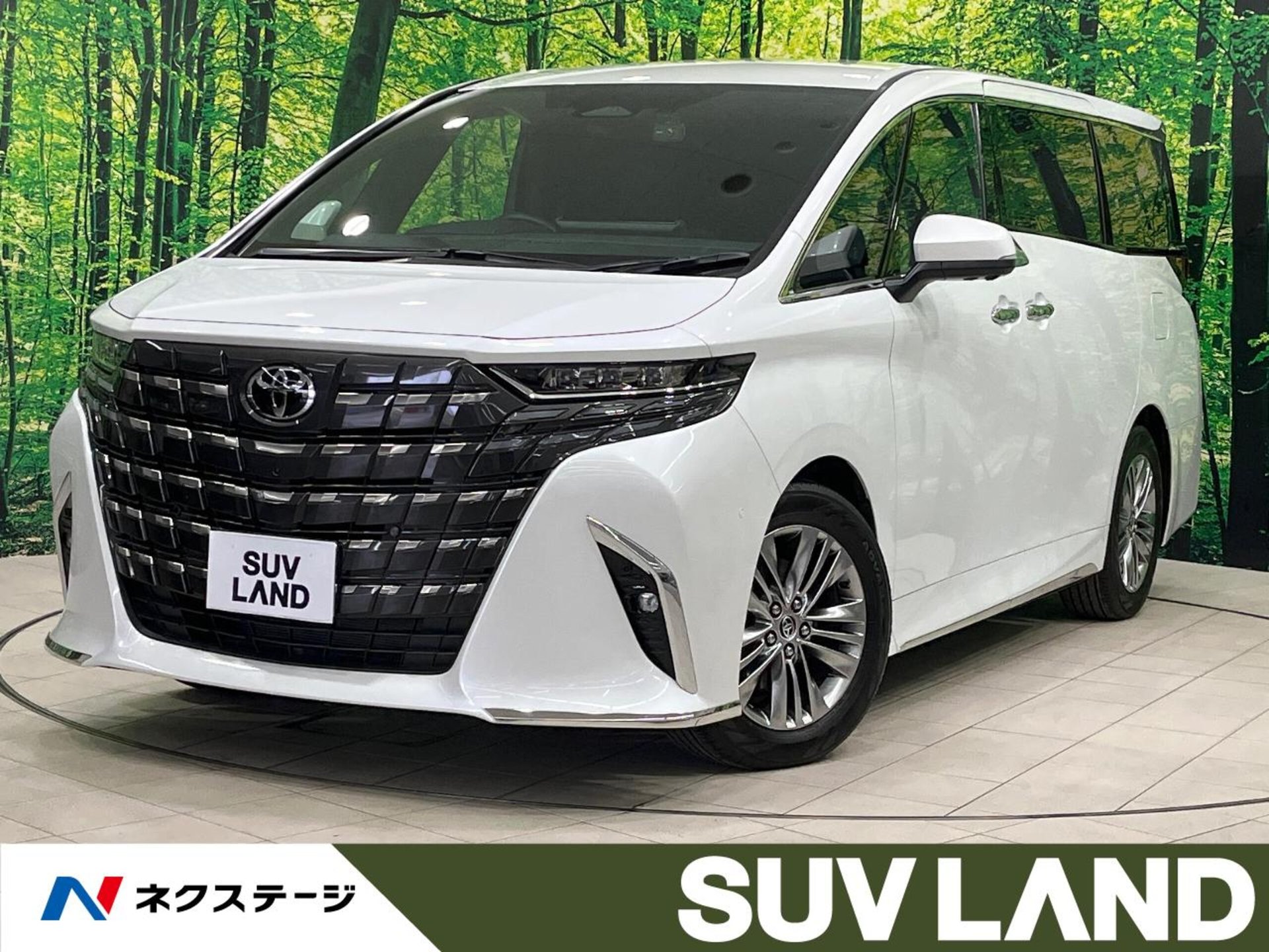 TOYOTA ALPHARD - View 1