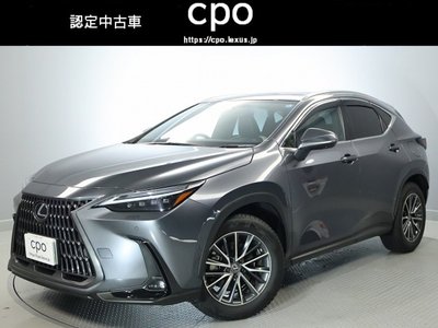 LEXUS NX - 1