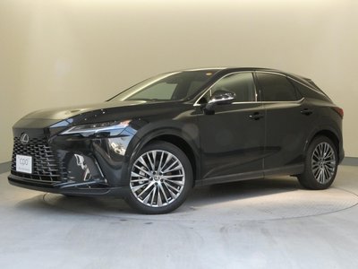 LEXUS RX - 1