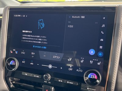 2024 TOYOTA ALPHARD 缩略图 35