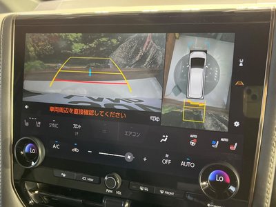 2024 TOYOTA ALPHARD 照片 6