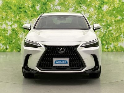 2023 Lexus NX — миниатюра 44