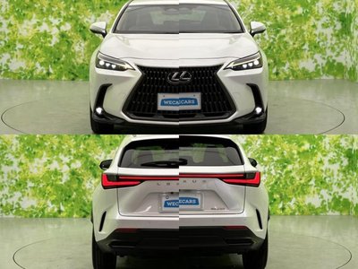 2023 Lexus NX — миниатюра 53