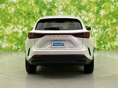 2023 Lexus NX — миниатюра 45