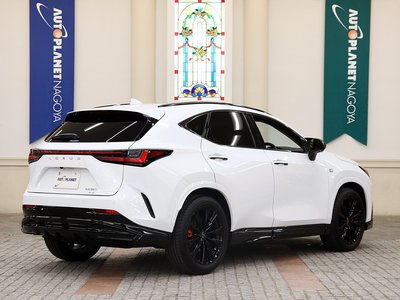 LEXUS NX - 6