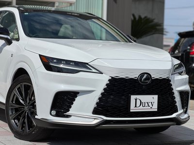 LEXUS RX - 10