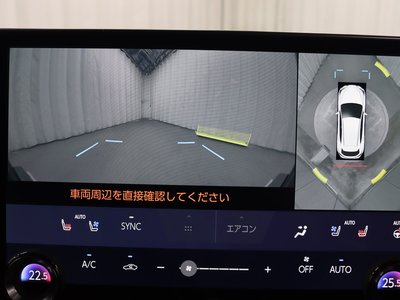 LEXUS NX - 10