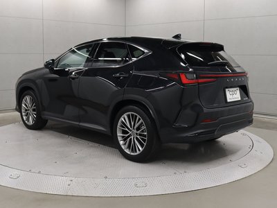 LEXUS NX - 2
