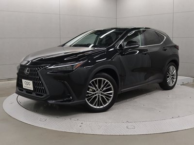 LEXUS NX - 1