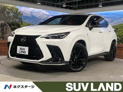 LEXUS NX - 1