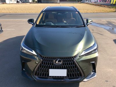 LEXUS NX - 9