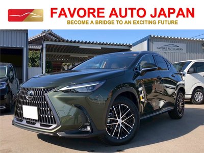 LEXUS NX - 1