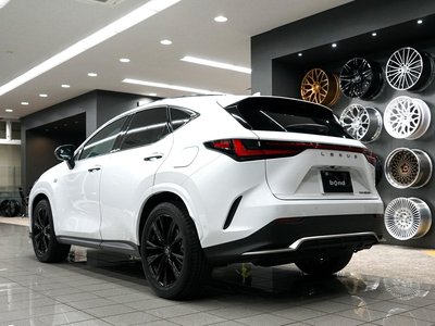 LEXUS NX - 3