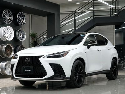 LEXUS NX - 1