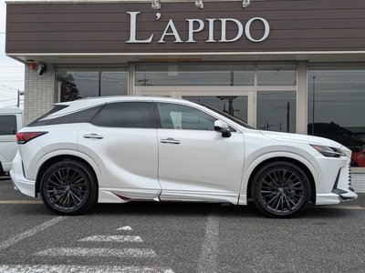 LEXUS RX - 6
