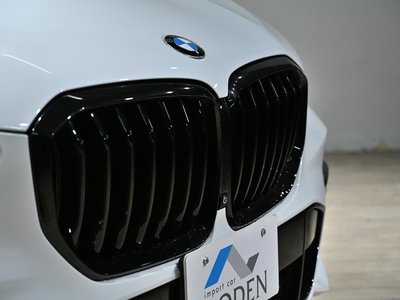 2019 BMW X5 — миниатюра 34