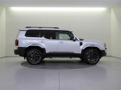 TOYOTA LAND CRUISER 250 - 6
