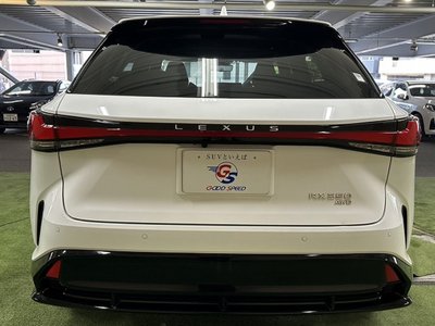 2023 Lexus RX — миниатюра 65