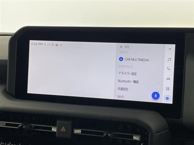 TOYOTA LAND CRUISER 250 - 6