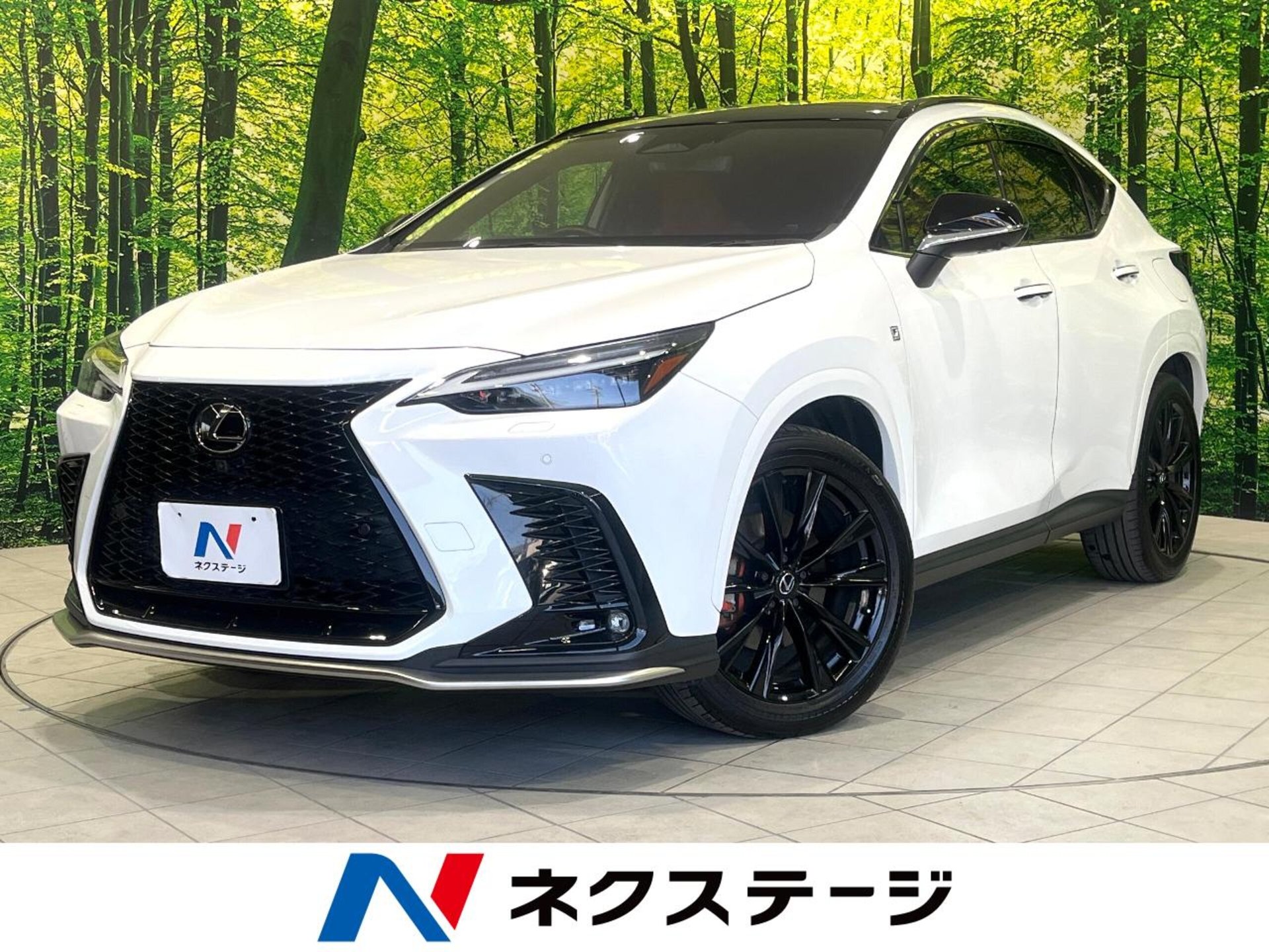 LEXUS NX - View 1