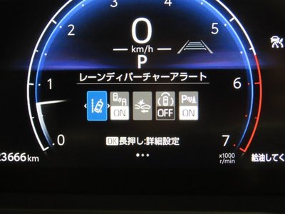 TOYOTA LAND CRUISER 250 - 6