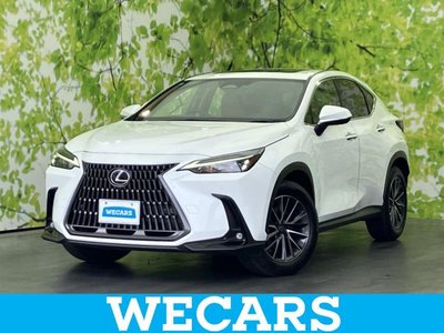 LEXUS NX - 1