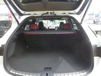 2023 Lexus RX photo 9
