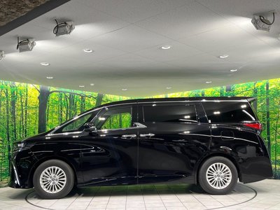2025 TOYOTA ALPHARD 缩略图 24