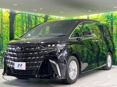 2025 TOYOTA ALPHARD 缩略图 23