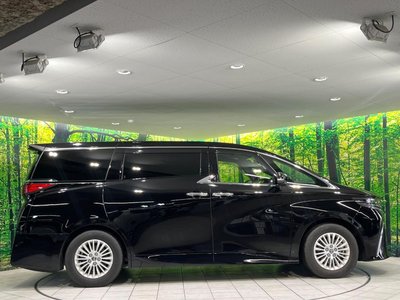 2025 TOYOTA ALPHARD 缩略图 27