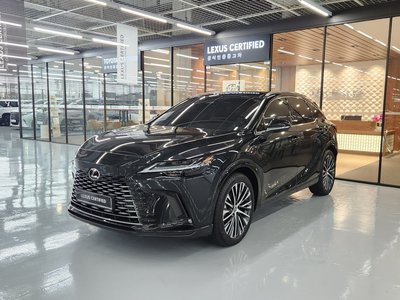 LEXUS RX - 1