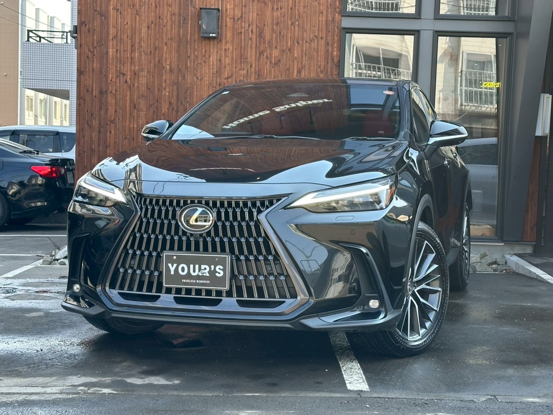 LEXUS NX - View 1