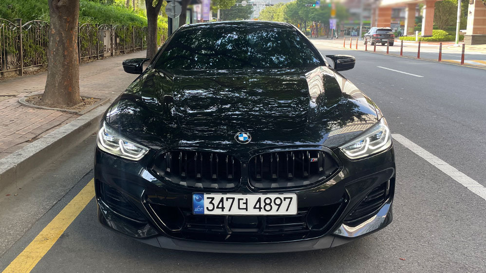 BMW 8 SERIES - View 1