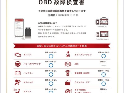 TOYOTA LAND CRUISER 250 - 2