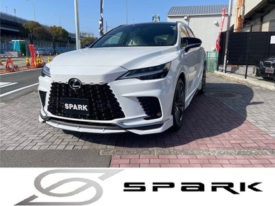 LEXUS RX - 1