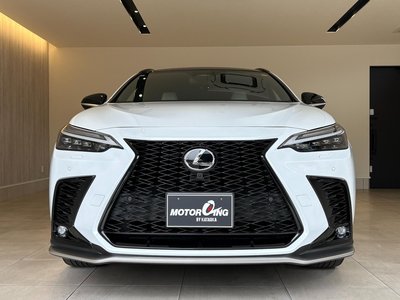 LEXUS NX - 10