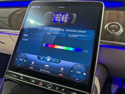 2021 Mercedes-BENZ S-CLASS thumbnail 28