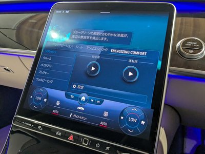 2021 Mercedes-BENZ S-CLASS thumbnail 29