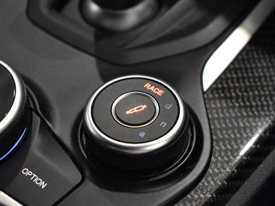 2019 ALFA Romeo STELVIO 照片 15