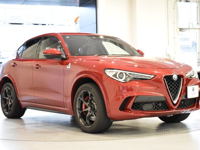 2019 ALFA Romeo STELVIO — фото 28