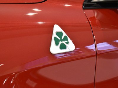 2019 ALFA Romeo STELVIO — фото 35