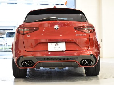 2019 ALFA Romeo STELVIO 照片 6