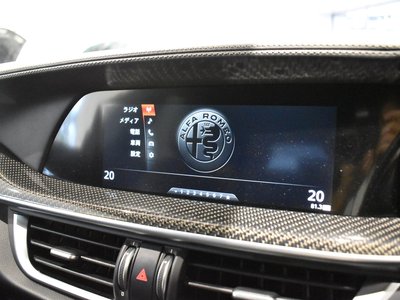 2019 ALFA Romeo STELVIO 照片 11
