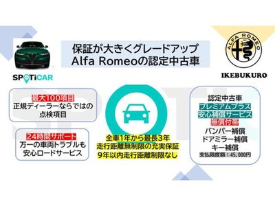 2019 ALFA Romeo STELVIO 照片 3