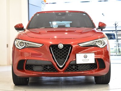 2019 ALFA Romeo STELVIO 照片 5