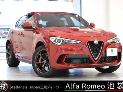 2019 ALFA Romeo STELVIO 照片 1