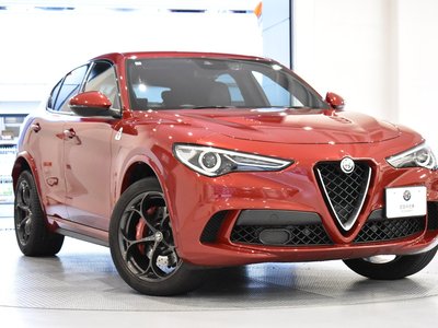 2019 ALFA Romeo STELVIO 照片 2